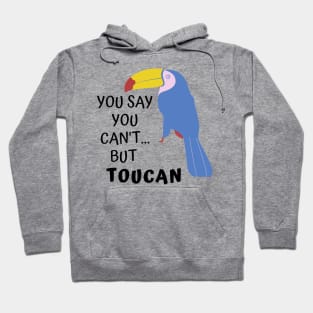 You say you can't, but Toucan. Funny Pun Hoodie